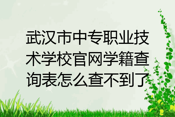 武汉市中专职业技术学校官网学籍查询表怎么查不到了