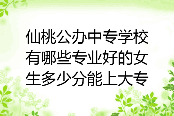 仙桃公办中专学校有哪些专业好的女生多少分能上大专