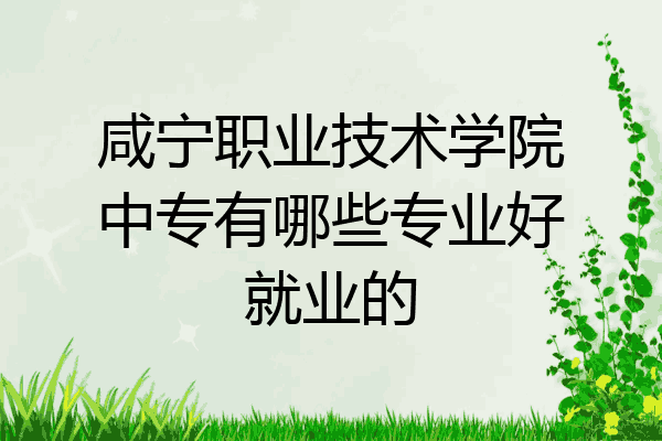 咸宁职业技术学院中专有哪些专业好就业的