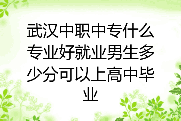 武汉中职中专什么专业好就业男生多少分可以上高中毕业
