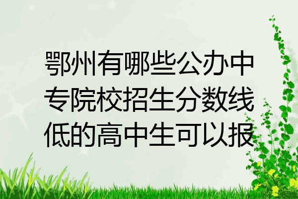 鄂州有哪些公办中专院校招生分数线低的高中生可以报