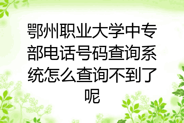 鄂州职业大学中专部电话号码查询系统怎么查询不到了呢