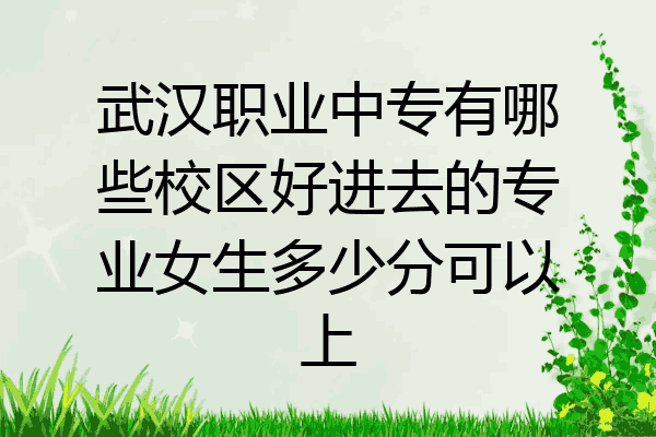 武汉职业中专有哪些校区好进去的专业女生多少分可以上