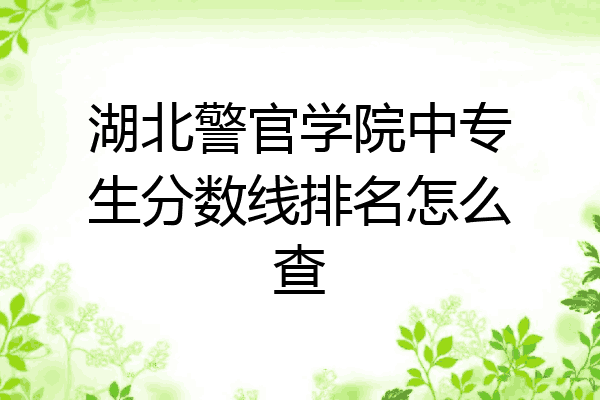 湖北警官学院中专生分数线排名怎么查