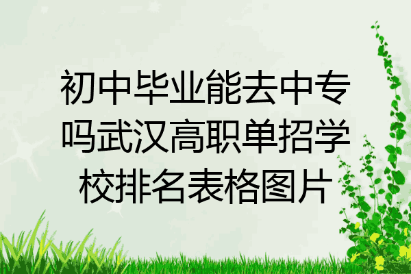 初中毕业能去中专吗武汉高职单招学校排名表格图片