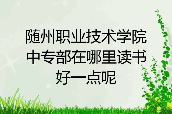 随州职业技术学院中专部在哪里读书好一点呢
