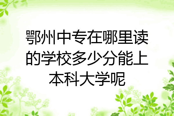 鄂州中专在哪里读的学校多少分能上本科大学呢
