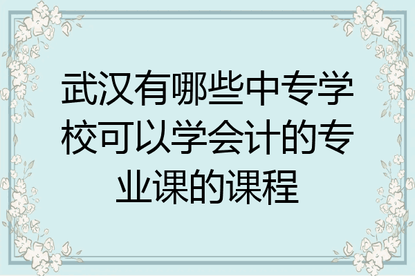 武汉有哪些中专学校可以学会计的专业课的课程