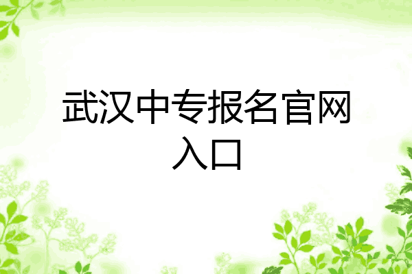 武汉中专报名官网入口