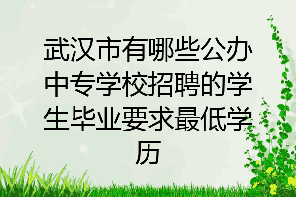 武汉市有哪些公办中专学校招聘的学生毕业要求最低学历