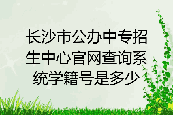 长沙市公办中专招生中心官网查询系统学籍号是多少