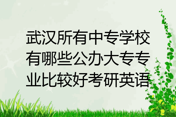 武汉所有中专学校有哪些公办大专专业比较好考研英语