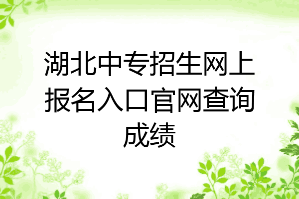 湖北中专招生网上报名入口官网查询成绩