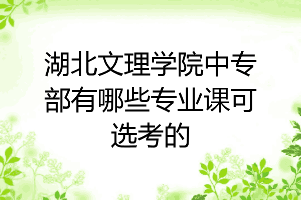 湖北文理学院中专部有哪些专业课可选考的