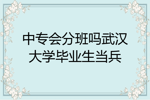 中专会分班吗武汉大学毕业生当兵