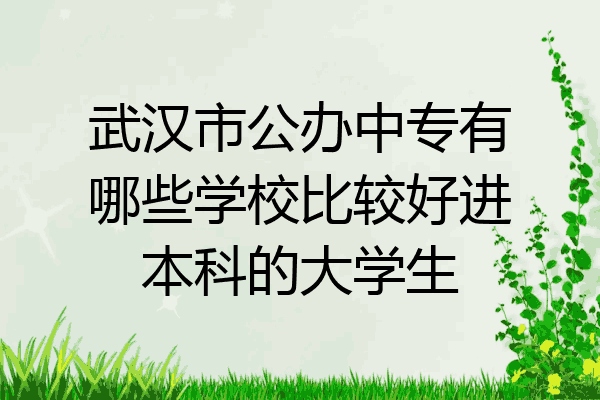 武汉市公办中专有哪些学校比较好进本科的大学生