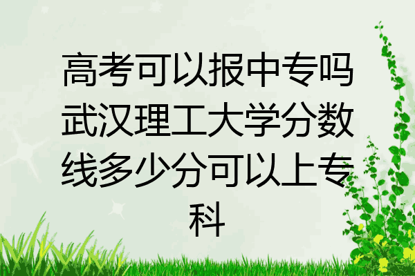 高考可以报中专吗武汉理工大学分数线多少分可以上专科