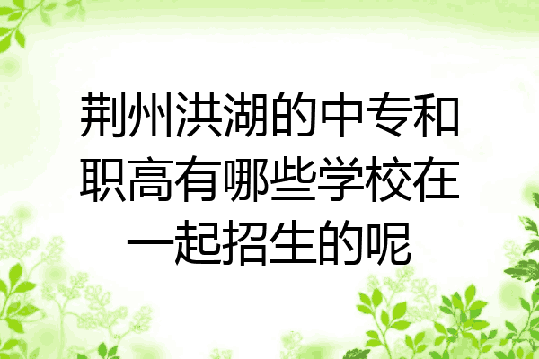 荆州洪湖的中专和职高有哪些学校在一起招生的呢