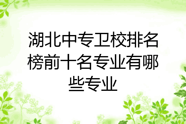 湖北中专卫校排名榜前十名专业有哪些专业