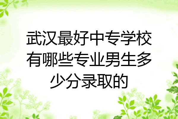 武汉最好中专学校有哪些专业男生多少分录取的