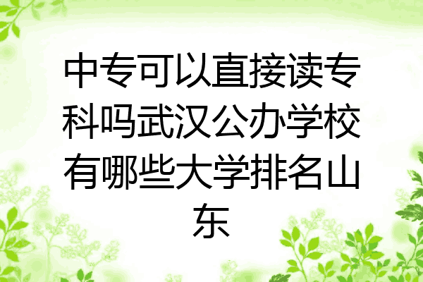 中专可以直接读专科吗武汉公办学校有哪些大学排名山东