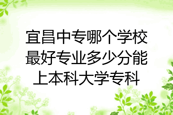 宜昌中专哪个学校最好专业多少分能上本科大学专科