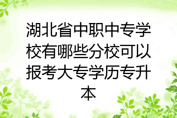 湖北省中职中专学校有哪些分校可以报考大专学历专升本
