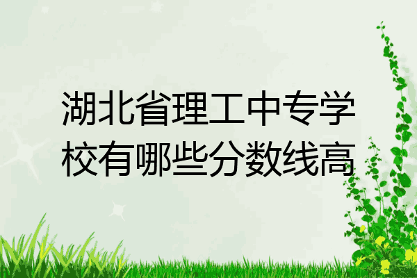 湖北省理工中专学校有哪些分数线高
