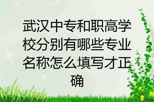 武汉中专和职高学校分别有哪些专业名称怎么填写才正确