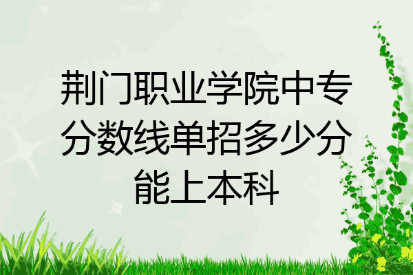 荆门职业学院中专分数线单招多少分能上本科