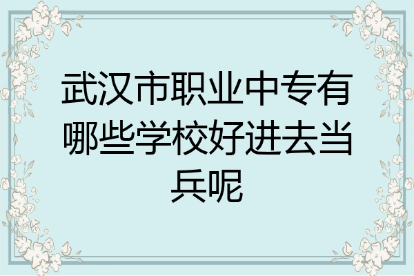 武汉市职业中专有哪些学校好进去当兵呢
