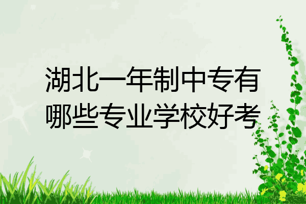 湖北一年制中专有哪些专业学校好考
