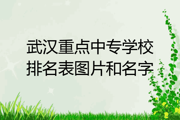 武汉重点中专学校排名表图片和名字