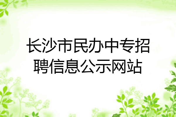 长沙市民办中专招聘信息公示网站