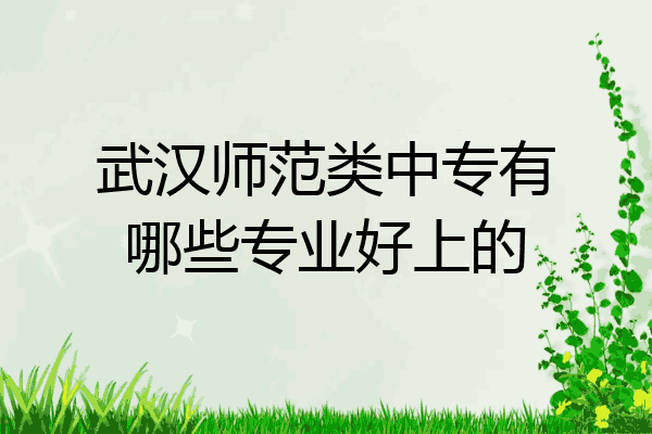 武汉师范类中专有哪些专业好上的