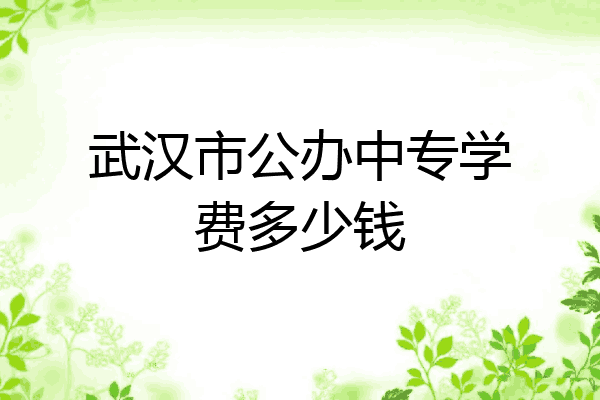 武汉市公办中专学费多少钱