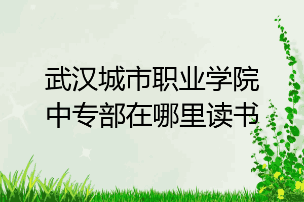 武汉城市职业学院中专部在哪里读书