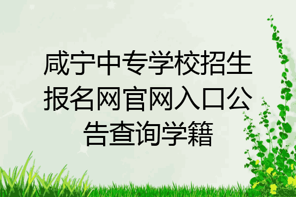 咸宁中专学校招生报名网官网入口公告查询学籍