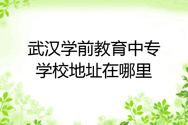 武汉学前教育中专学校地址在哪里