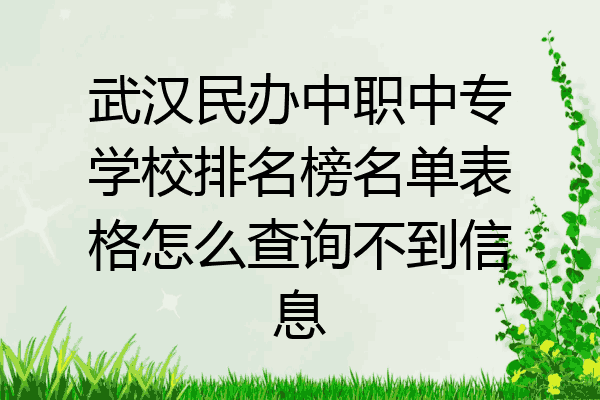 武汉民办中职中专学校排名榜名单表格怎么查询不到信息