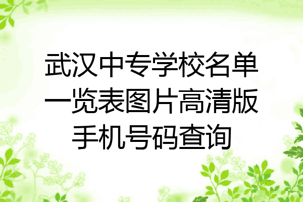武汉中专学校名单一览表图片高清版手机号码查询