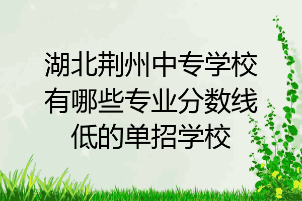 湖北荆州中专学校有哪些专业分数线低的单招学校
