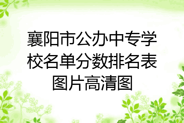 襄阳市公办中专学校名单分数排名表图片高清图