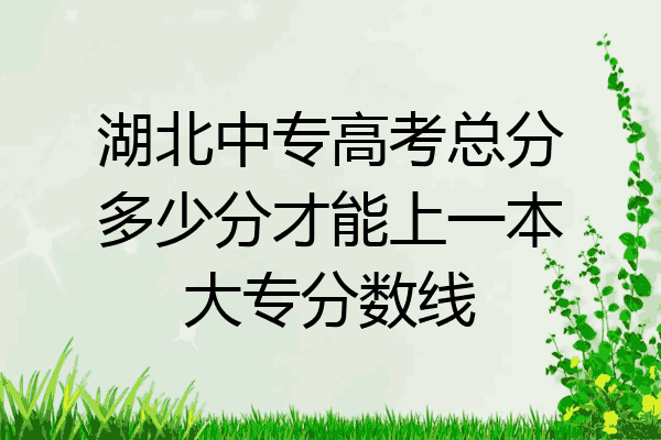 湖北中专高考总分多少分才能上一本大专分数线