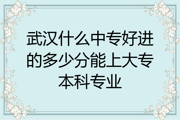 武汉什么中专好进的多少分能上大专本科专业