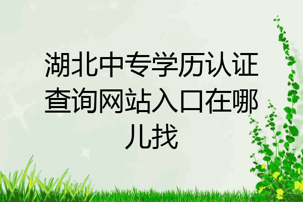 湖北中专学历认证查询网站入口在哪儿找