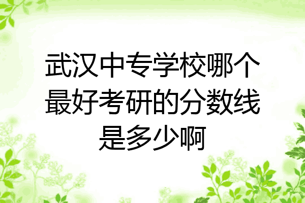 武汉中专学校哪个最好考研的分数线是多少啊