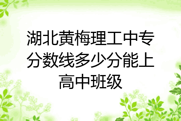 湖北黄梅理工中专分数线多少分能上高中班级