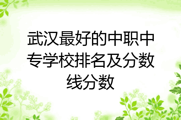 武汉最好的中职中专学校排名及分数线分数