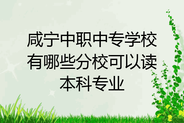 咸宁中职中专学校有哪些分校可以读本科专业